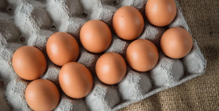 A dozen brown eggs arranged in a gray cardboard egg carton on a burlap surface.